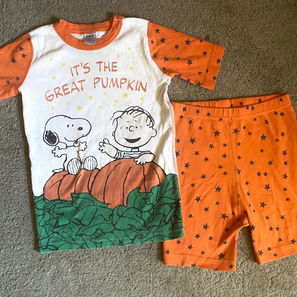 Hanna Andersson Organic Cotton boys fall pajama set